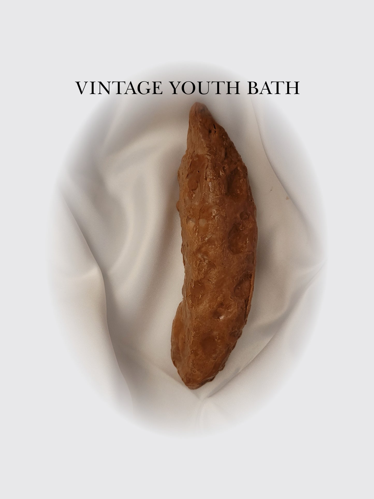 You've Been Dumped Poop Soap