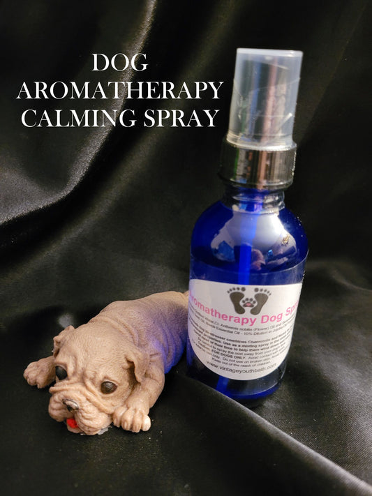 Dog Aromatherapy