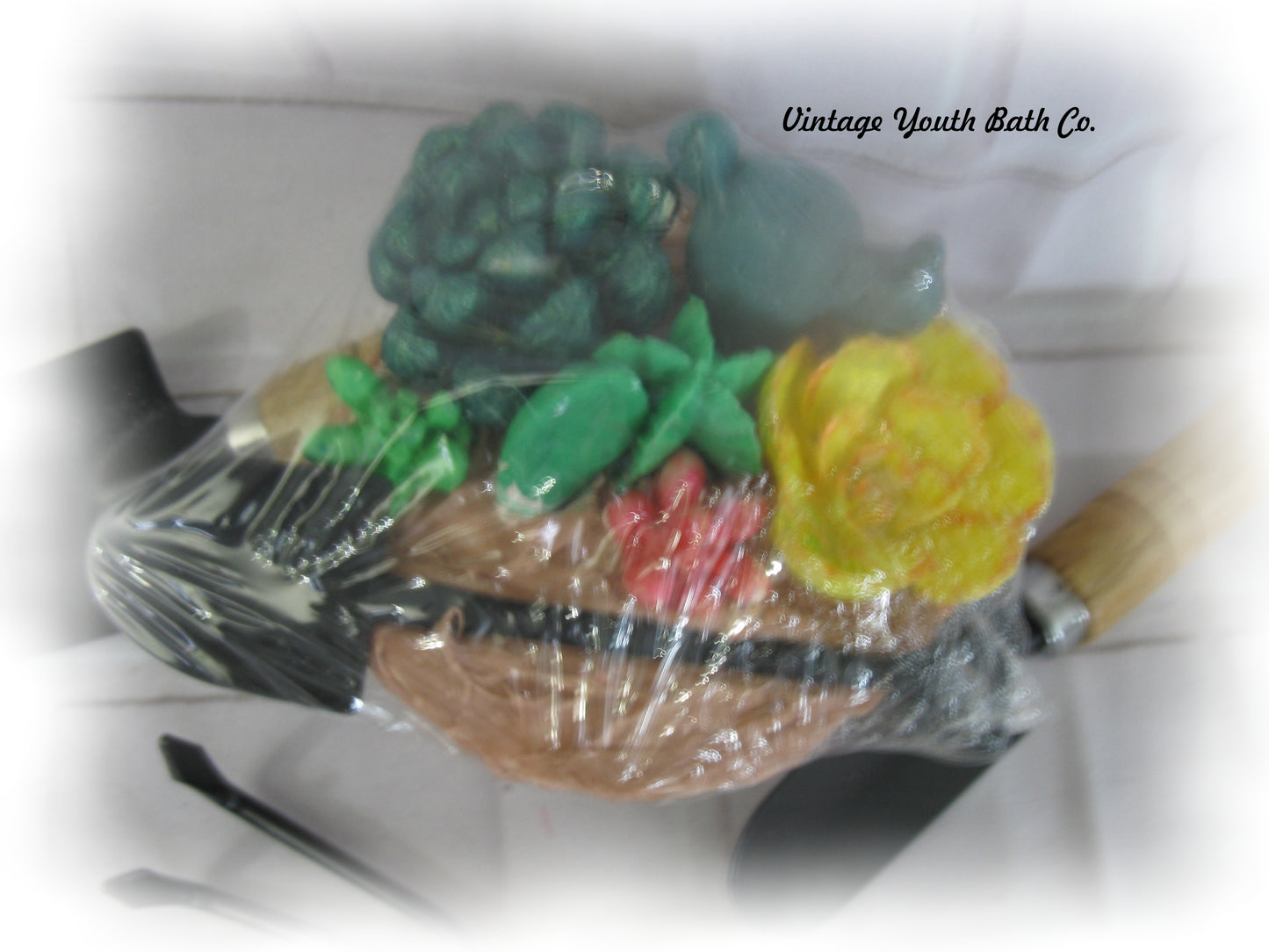 Cactus Soap Garden Bath Bomb